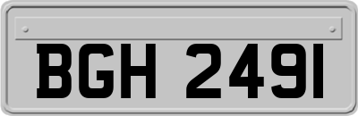 BGH2491