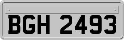 BGH2493