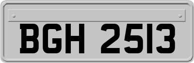 BGH2513