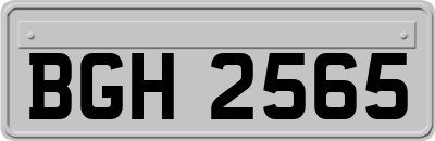 BGH2565