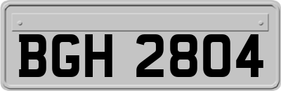 BGH2804