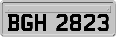 BGH2823