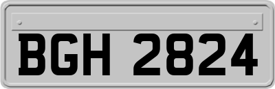 BGH2824