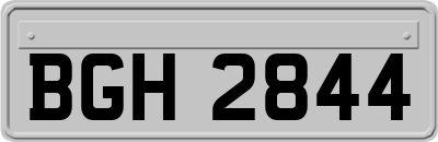 BGH2844