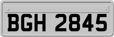 BGH2845