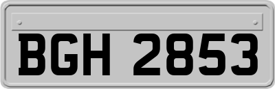 BGH2853