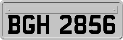 BGH2856