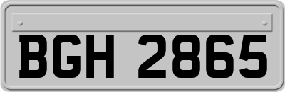 BGH2865
