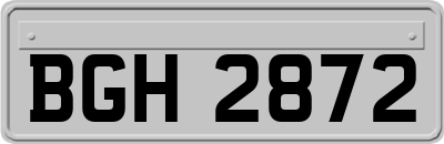 BGH2872