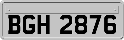 BGH2876