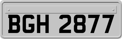 BGH2877