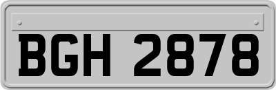 BGH2878