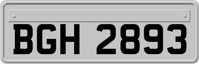 BGH2893