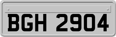 BGH2904