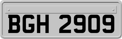 BGH2909