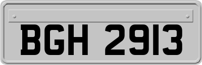 BGH2913