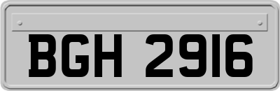 BGH2916