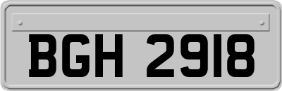 BGH2918