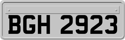 BGH2923