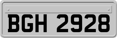 BGH2928