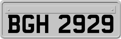 BGH2929