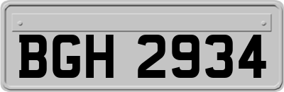 BGH2934