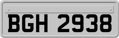 BGH2938