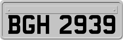 BGH2939