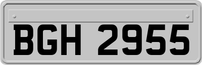 BGH2955