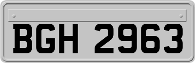 BGH2963