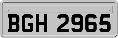 BGH2965