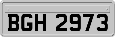BGH2973