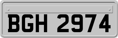 BGH2974