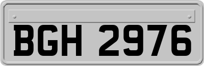 BGH2976