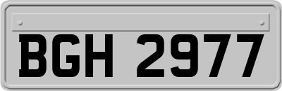 BGH2977