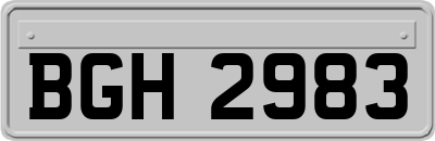 BGH2983