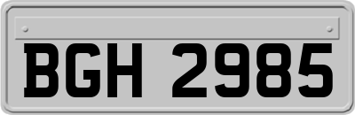 BGH2985