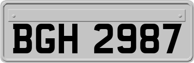 BGH2987