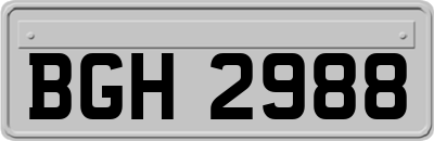 BGH2988