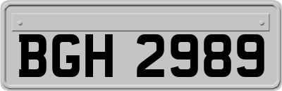 BGH2989