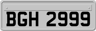 BGH2999