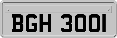 BGH3001