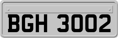 BGH3002