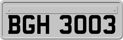 BGH3003