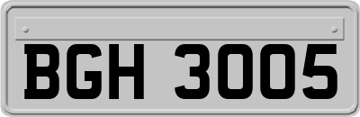 BGH3005