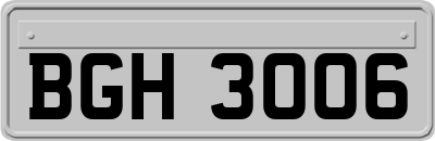 BGH3006