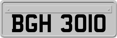 BGH3010