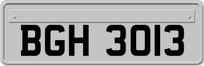 BGH3013