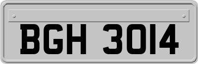 BGH3014