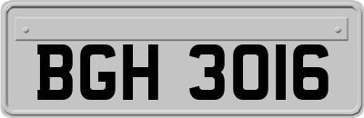 BGH3016